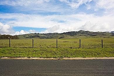 -50%！Steam夏促钜惠，《极限竞速：地平线5》历史新低！