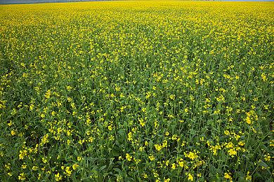 双人合作恐怖解谜游戏《怨念》现已在Steam发售